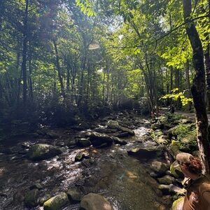 Meet your Posher, Gus